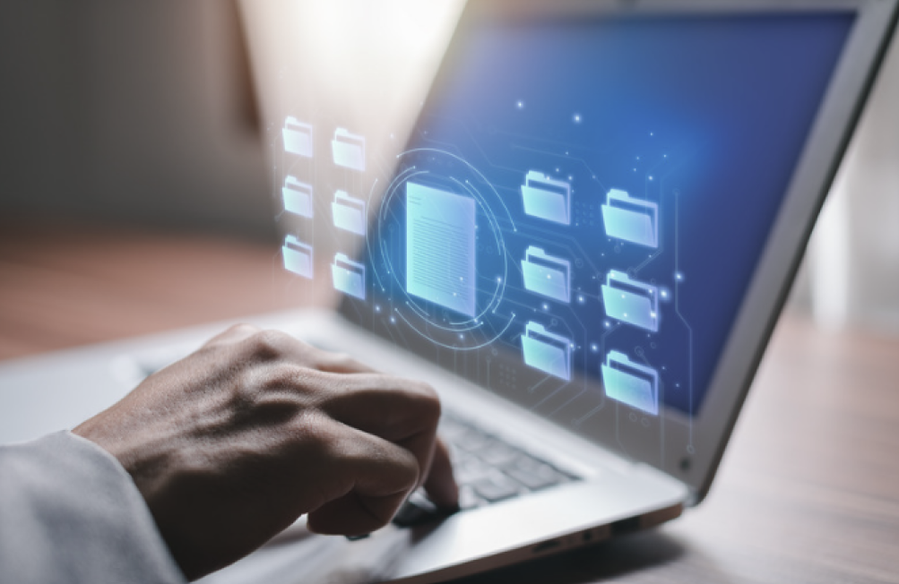 МНС информирует: с 2026 года ИП смогут работать только по видам деятельности, включённым в утверждённый перечень