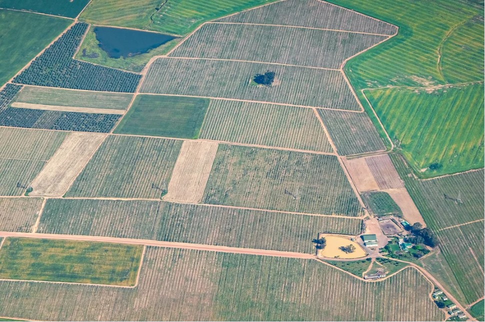 Разъяснение МНС об исчислении и уплате организациями в 2026 году арендной платы за земельные участки