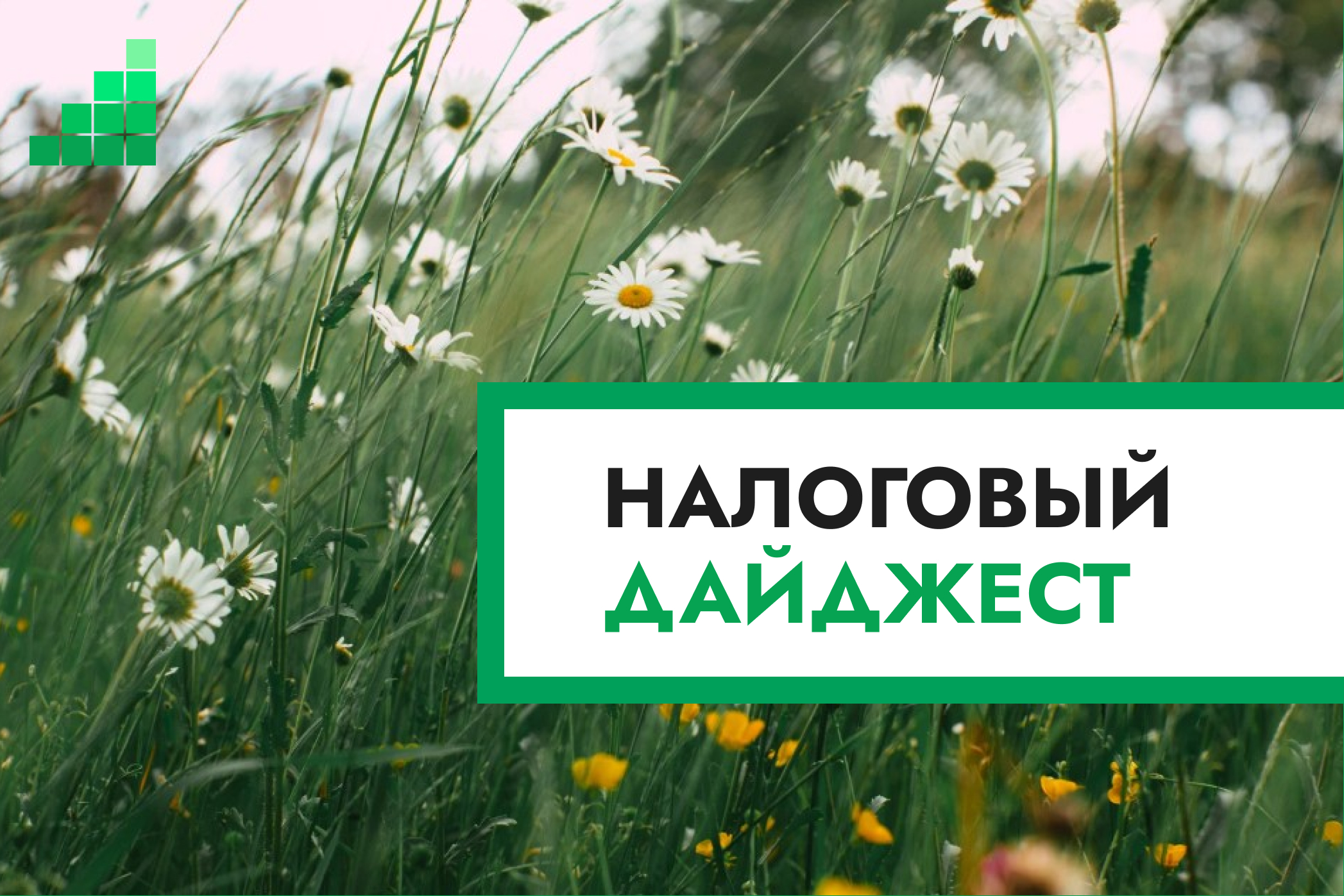Налоговый дайджест новостей за 27–31 июля 2026 года