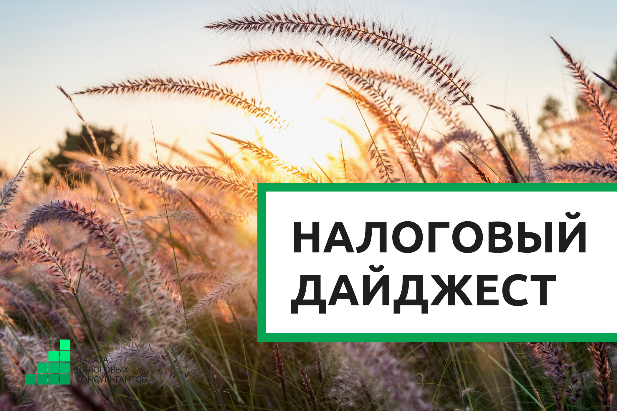 Налоговый дайджест новостей за 24–28 августа 2026 года