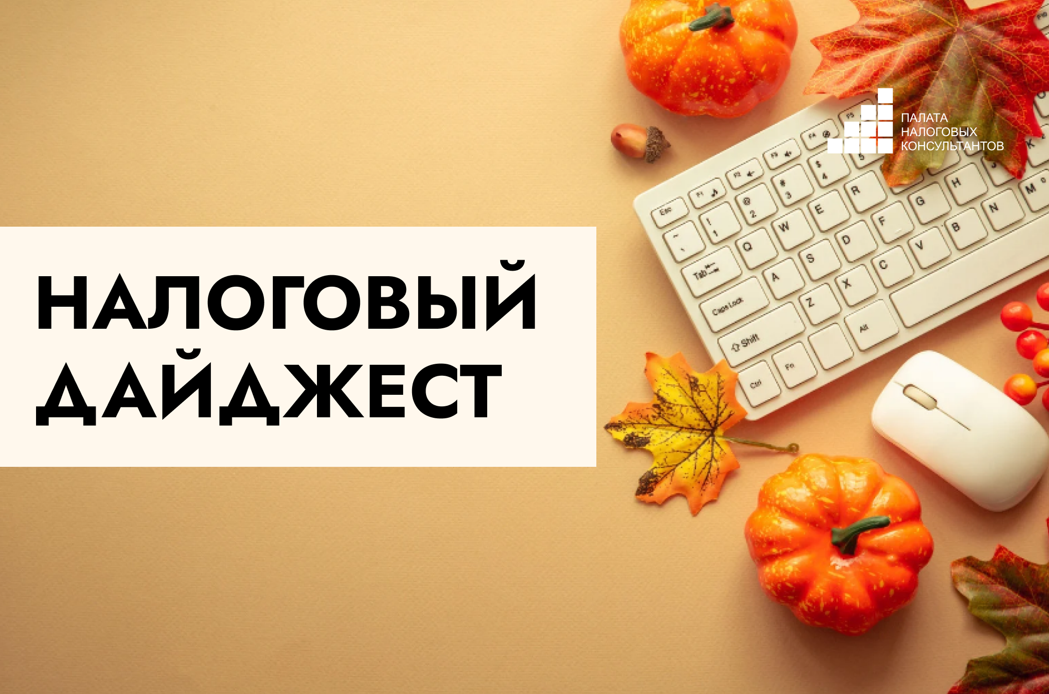Налоговый дайджест новостей за 15 - 19 сентября 2025 года