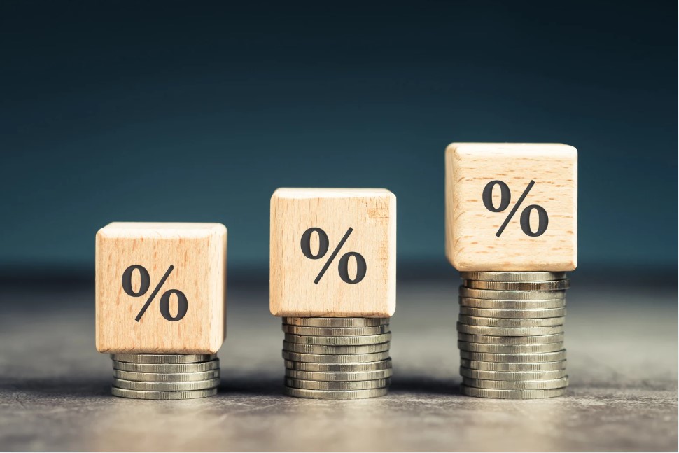 За рубежом ставки доходят и до 54%. Эксперт сравнила подход к налогообложению в Беларуси и странах Европы