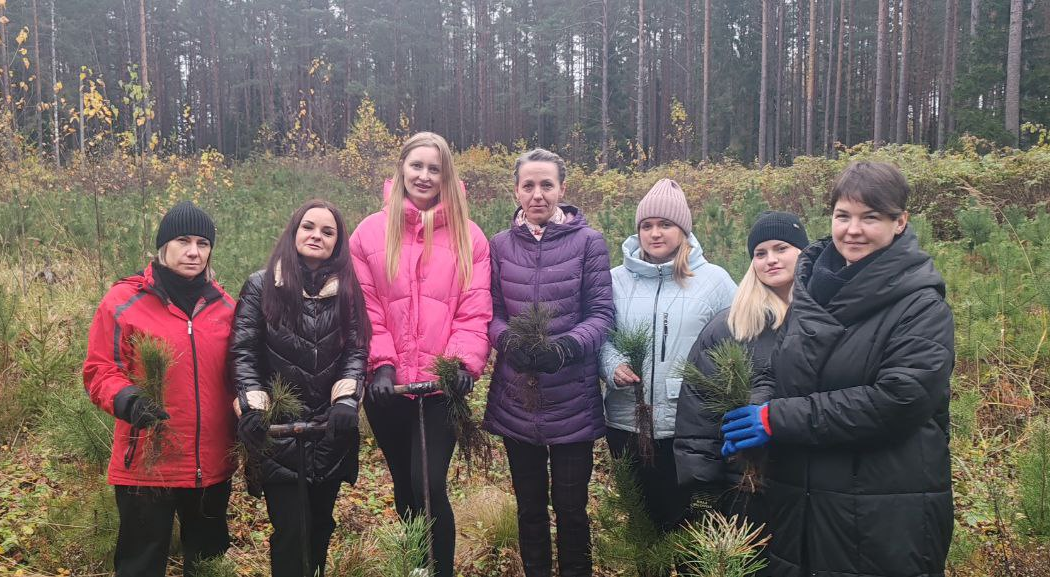 Налоговые консультанты принимают участие в акции «Дай лесу новае жыццё!»