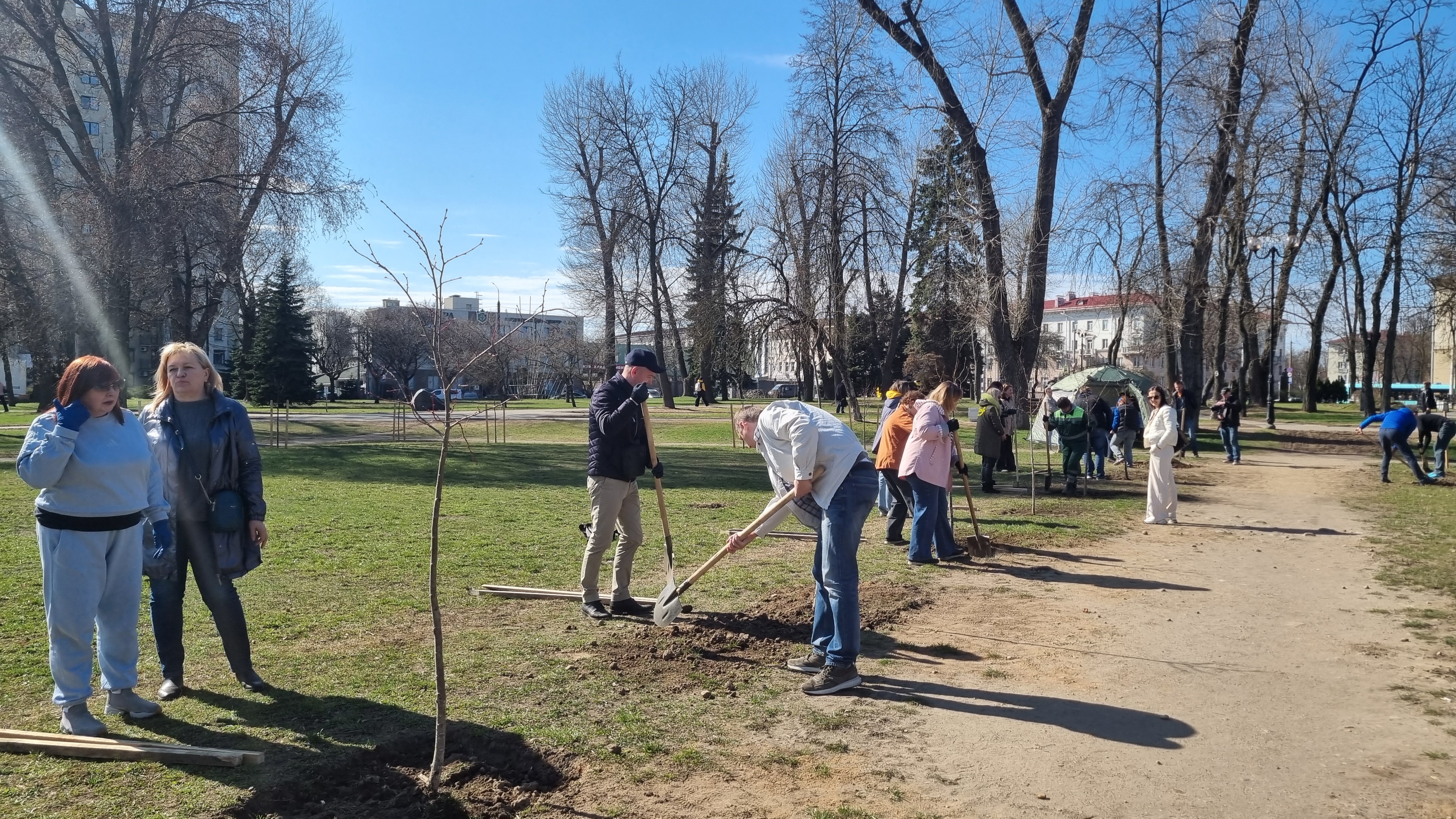 Налоговые консультанты высадили липы в столичном сквере Симона Боливара